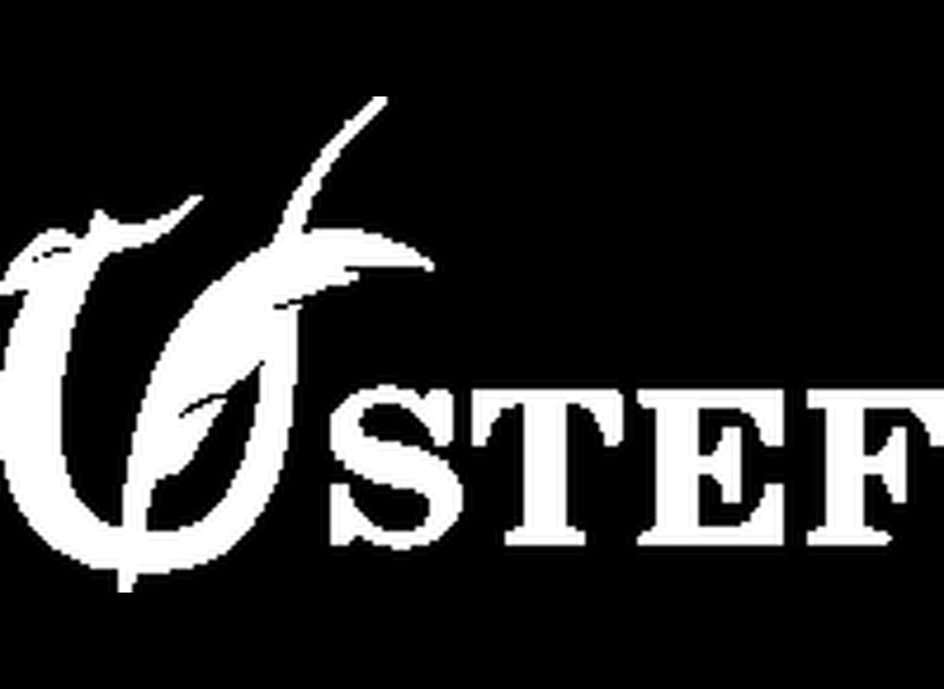 STEF – Icelandic Collective Rights Management Society